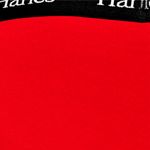 Hanes-Originals-Boxer-Trunk-Pack-de-4-Boxers